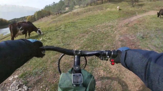 Каменные ворота смотреть онлайн