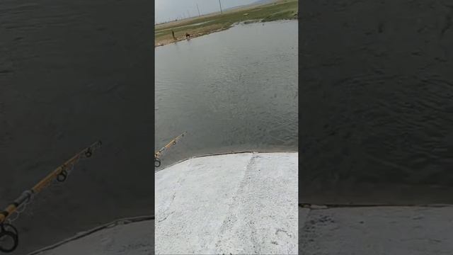 На Рыбалка Ботакара #ульяновск  #рыбалка2022 #балықаулау #карась #река