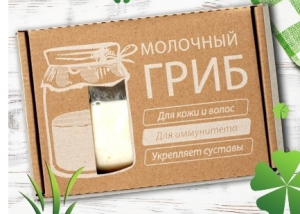 Набор «Молочный гриб» от Leomax