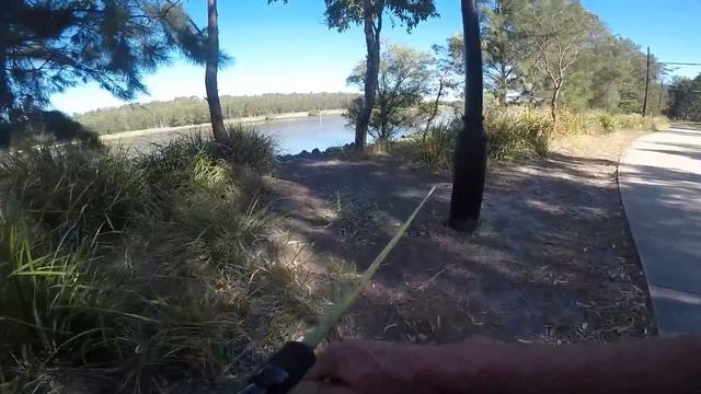 Sydney Fishing Tips. First you have to find fish then work the bite out. Heads or Tails. смотреть онлайн