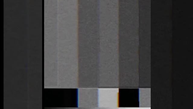 Смешное видео ТРИ КОТА 😂 смотреть онлайн