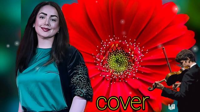 СКРИПКА (cover) Из реп.Славы Новикова #скрипка2023 #ромалэ смотреть онлайн