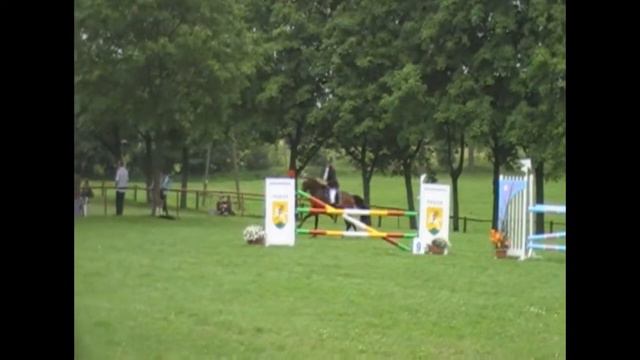 Tribute to horse Horn смотреть онлайн