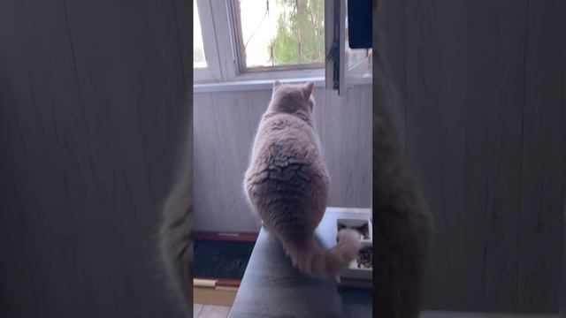 На взлёт.)))) смотреть онлайн