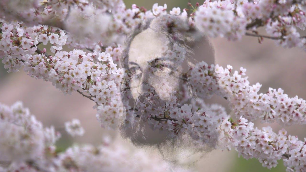 УЧИТЕЛЮ СЕРДЦА МОЕГО смотреть онлайн