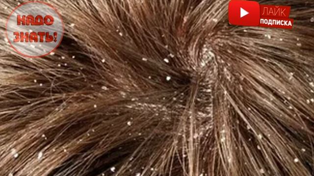 Огненные красотки