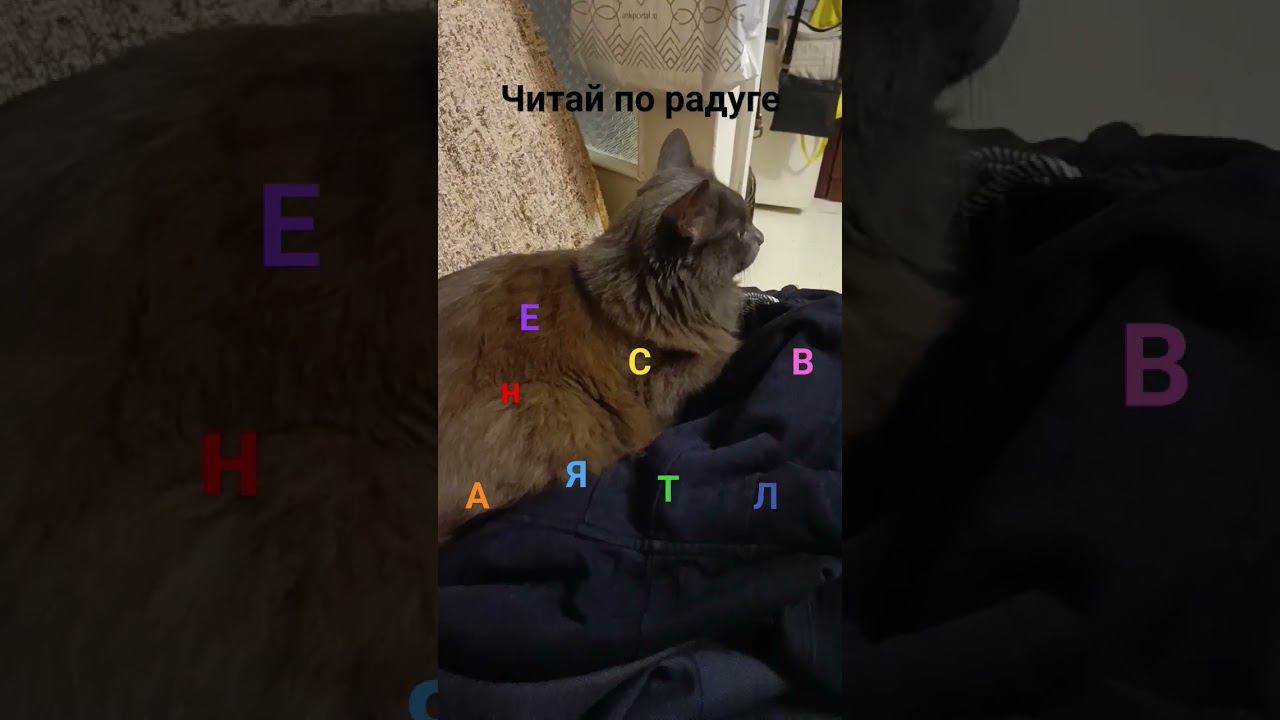 22 сентября 2023 г. смотреть онлайн