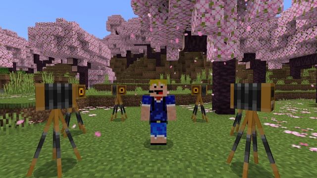 Minecraft Bedrock - How To Get A Camera! (Mobile/Windows) смотреть онлайн