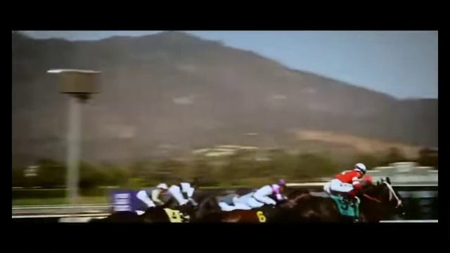клип конного спорта-это не просто спорт это мая жизнь смотреть онлайн