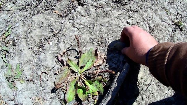 Нашел пряжку и медную болванку. Поиск металлоискателем металлолома на берегу Смотрича. №7 смотреть онлайн