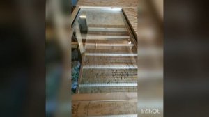 Брудер тёплый, для минусовых температур, для циплят,