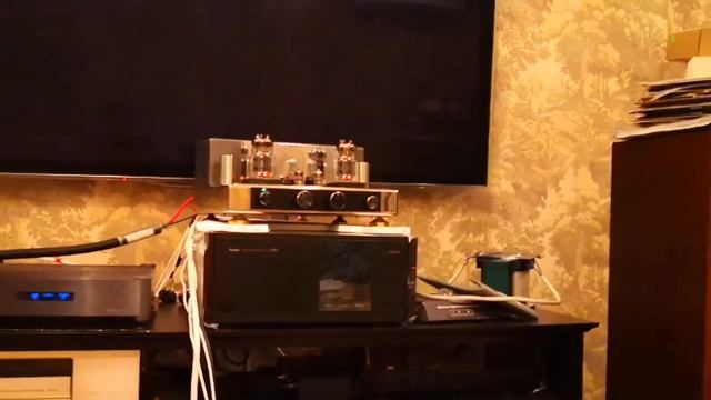 WADIA 27IX and 6C33C tube amp on diatone 5000 смотреть онлайн