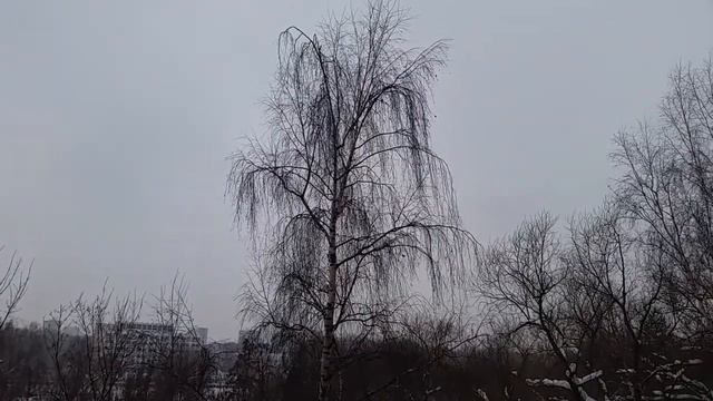 Сенсационный прогноз от 16 2 18...Скоро будет снег...С 3... смотреть онлайн