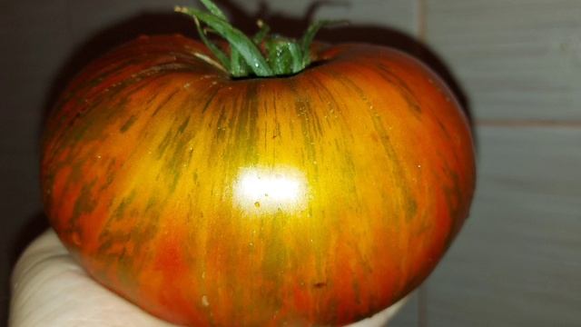 Томат "Странная вещь девушки." смотреть онлайн