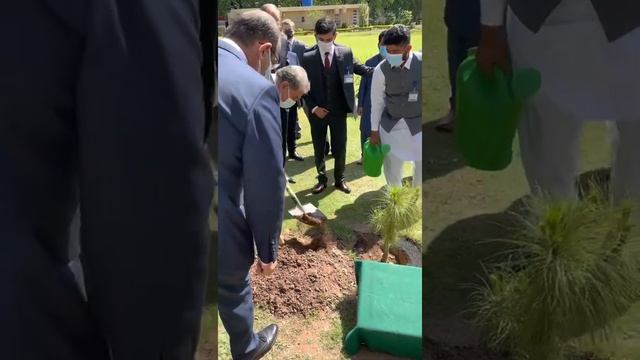 Лавров посадил гималайский кедр смотреть онлайн