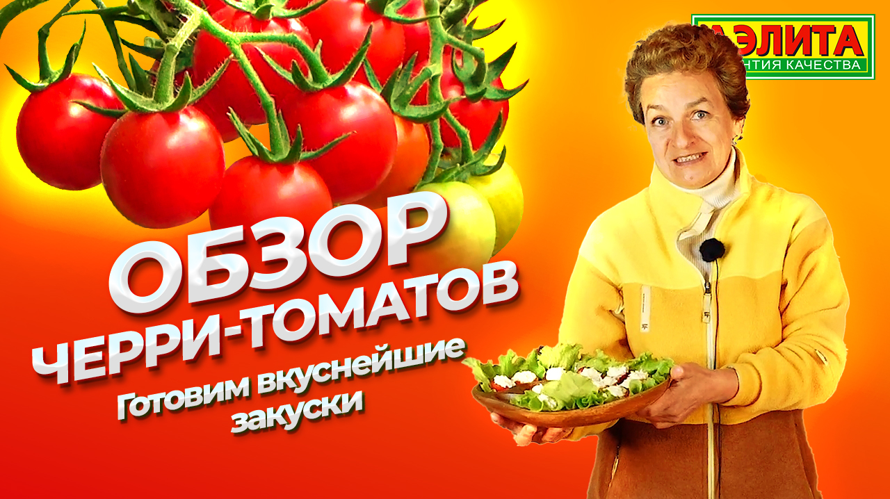 Томаты Черри. Вкусные и простые РЕЦЕПТЫ закусок из черри. смотреть онлайн