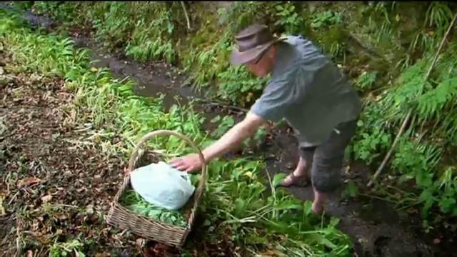 River Cottage | Hugh Fearnley-Whittingstall | Hedgerow