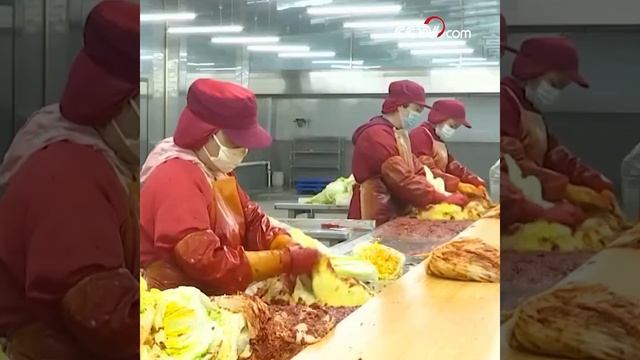 В Южной Корее наступил «кризис кимчи» смотреть онлайн