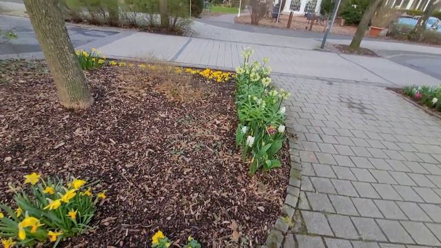 Пасха 2023. Пасхальный выпуск. прогулка с детьми . @RafaelJoelJoschua смотреть онлайн