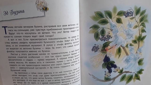 Истории сказочного леса. Цветочные феи.Эд Бузина. смотреть онлайн