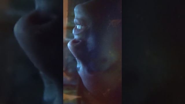 диджей грув мир без любви смотреть онлайн