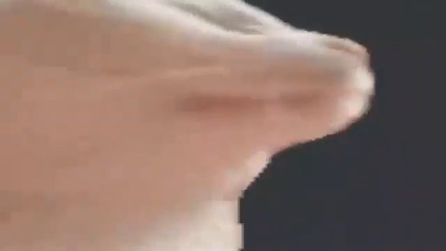 Кот танцует под музыку ахахахахха смешно смотреть сборник мем 2020 смотреть онлайн