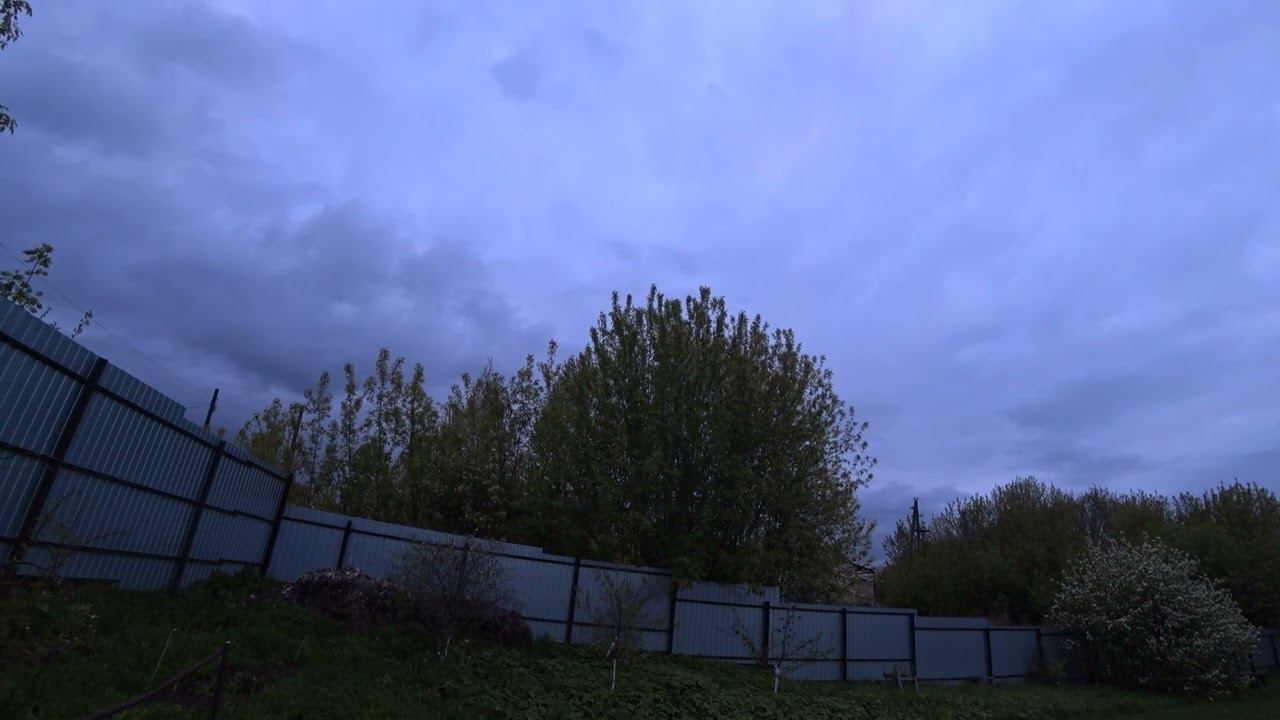 Пение птиц - утро в саду смотреть онлайн