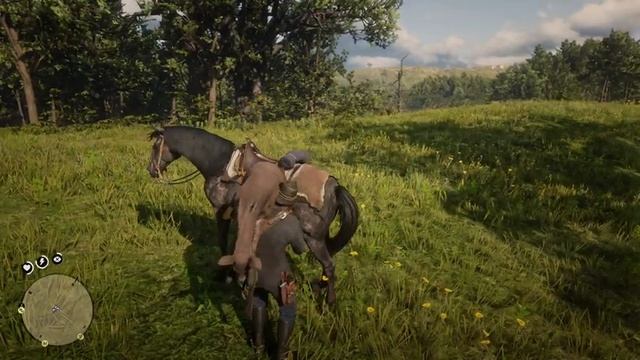 Red Dead Redemption 2 PC Полное прохождение игры на русском # 4 смотреть онлайн