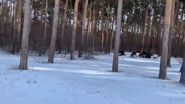 Делюсь красивыми пейзажами. Тайга Патруль 800 смотреть онлайн