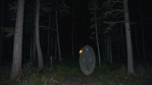 🎥 Жуткая История Ужасов: Летом в Лесу на РЕАЛЬНЫХ СОБЫТИЯХ 🌲😱