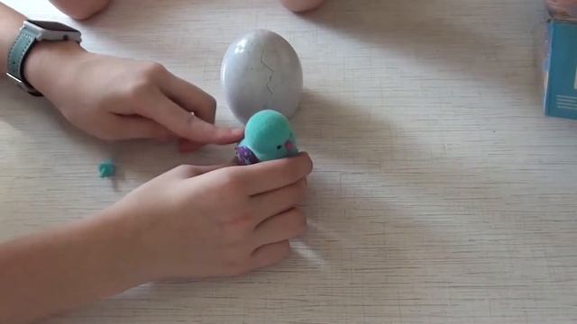 Распаковка и Обзор Little live pets chick - Цыпленок в яйце смотреть онлайн