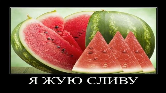Друг наелся слив и общается смотреть онлайн