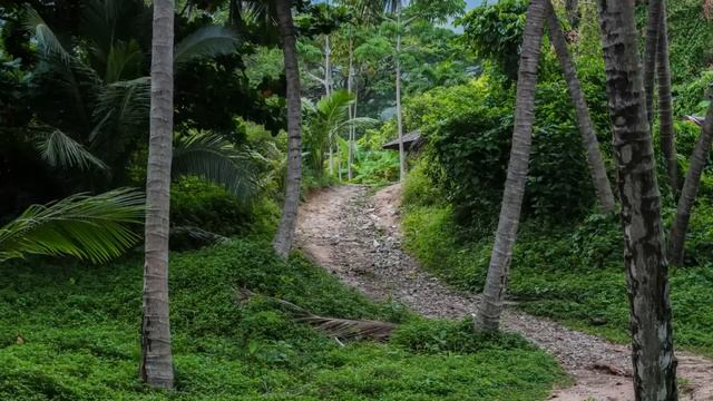 Жених бросил невесту накануне свадьбы. А через время, случайно встретившись, женщина решила... смотреть онлайн