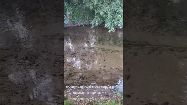 бежит ручей смотреть онлайн
