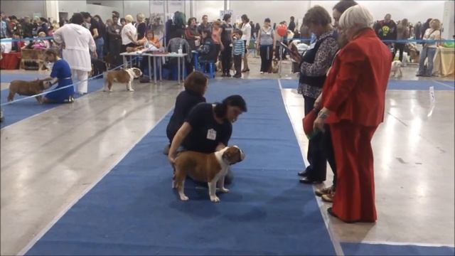 евразия 2014 смотреть онлайн