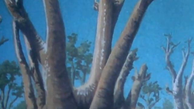 Слоновое дерево смотреть онлайн