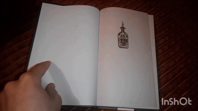 Книжный отзыв: Анастасия Гор "Ковен озера Шамплейн" смотреть онлайн