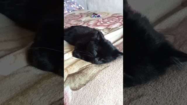 Рыбалка во сне #shorts смотреть онлайн