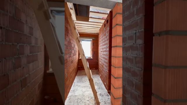 Чернышевка обзор одноэтажного дома смотреть онлайн