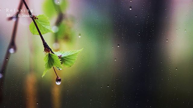 3HRS,  Chopin Nocturne No.1 Op 9, The Most Relaxing And Beautiful Piano Music With Gentle Rain Soun