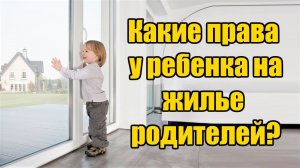 Права детей на жилье при разводе родителей в 2025 году