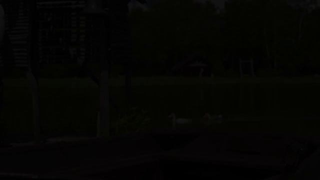 Парень высадил подругу из машины, оставив одну ночью на дороге. Ей оставалось одно смотреть онлайн