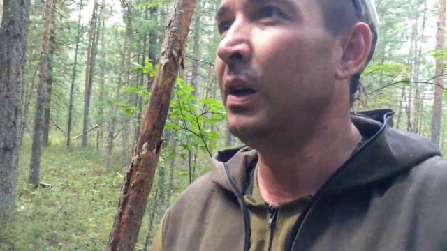 За кедровыми шишками 2021.Где то в Свердловской области. смотреть онлайн