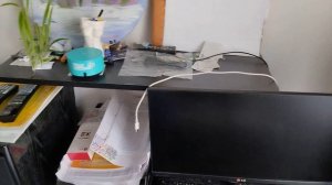 Колонка Алиса запинается, плохо работает с интернетом.