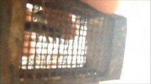 Начинающим. Клеточка Титова. О гибкости пчеловождения.