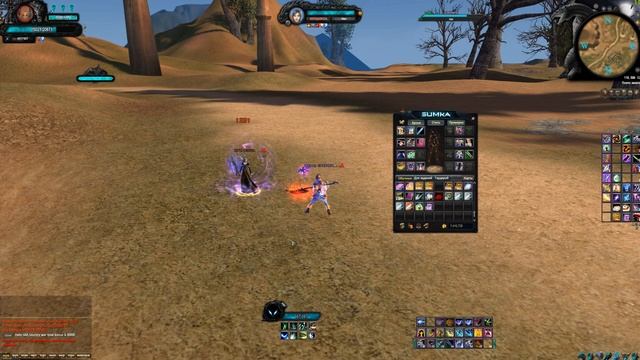 Мини гайд по Pvp за приста в Pw By Magopunk. Сила и слабости персонажа, геймплей, склейки.