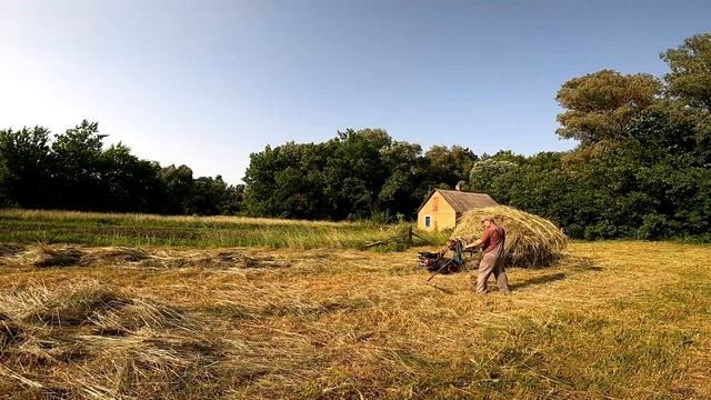 Сезон заготівлі сіна смотреть онлайн