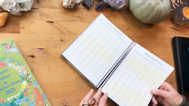 Pagan Planners, Astrological Calendars | My favourite witchy diaries for 2021 #plannerreview смотреть онлайн
