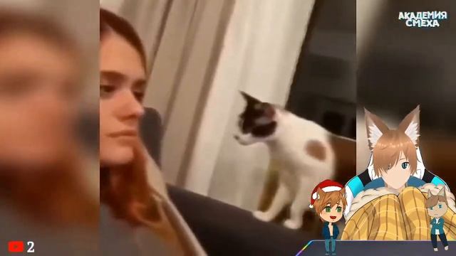 STREAM | Просмотр видосиков с чатом | MineAS смотреть онлайн