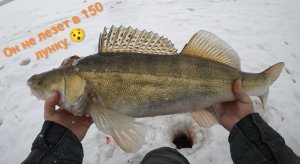 Учусь ловить СУДАКА зимой. Рыбалка на СУДАКА и ЩУК!